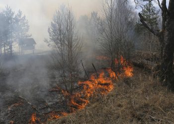 Серија пожари на отворено низ Македонија во текот на 26 јуни
