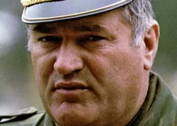 Бура од реакции во јавноста по величењето на Ратко Младиќ