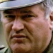 Бура од реакции во јавноста по величењето на Ратко Младиќ