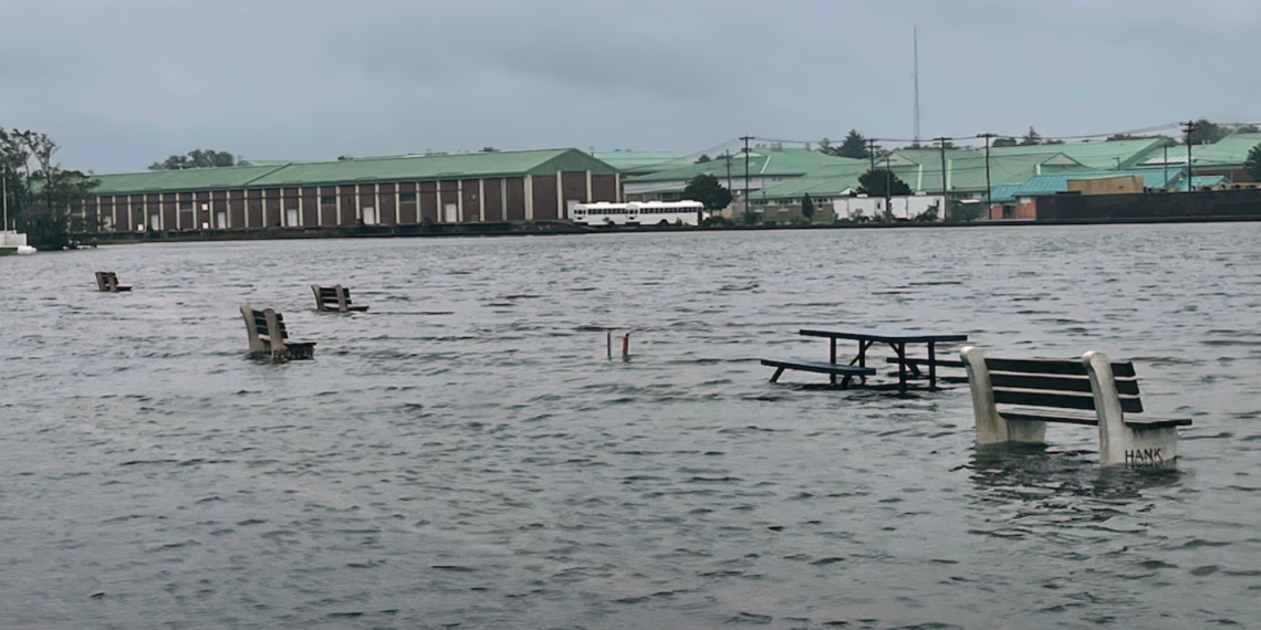 Драматични сцени од силното невреме во САД: градови под вода, десетици илјади без струја, има и жртва