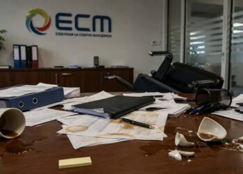 ДЗР за набавките во ЕСМ – платени се милиони евра за стоки и услуги што не биле искористени