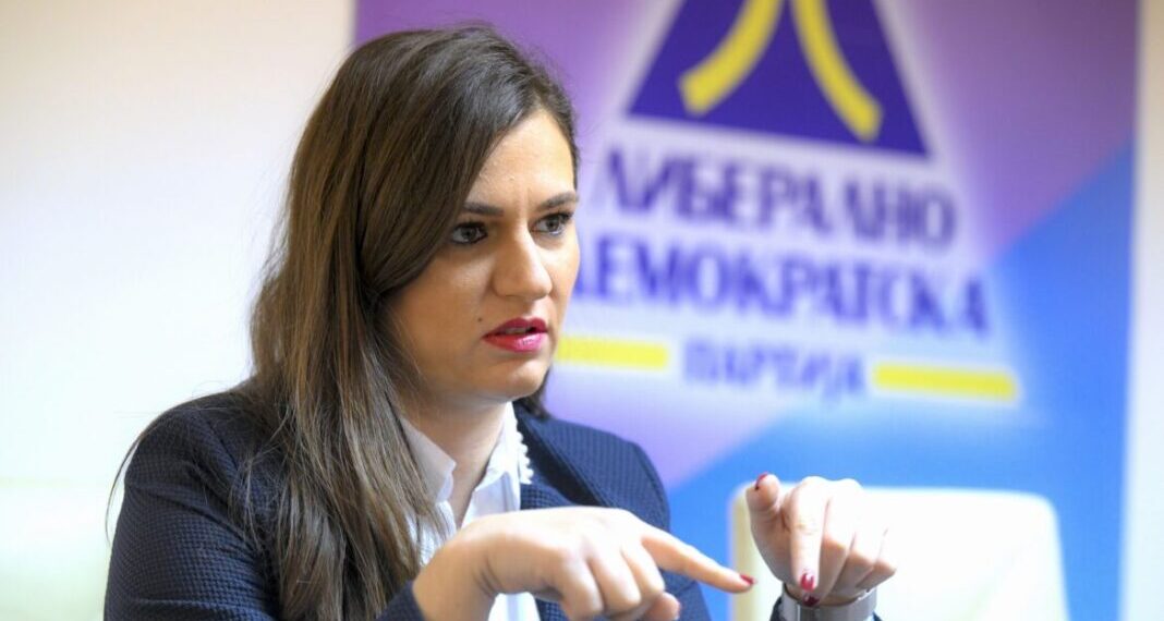 ЛДП повторно прави притисок за закон за двојното државјанство
