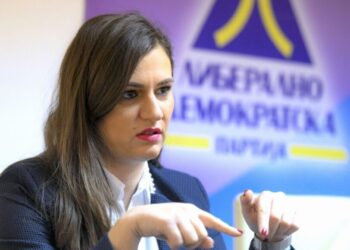 ЛДП повторно прави притисок за закон за двојното државјанство