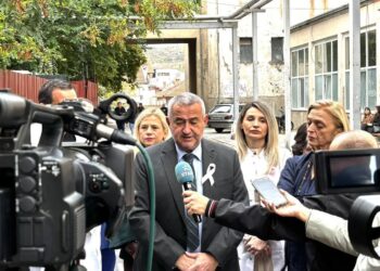 Клековски: Бегството на Михајлова е поради доаѓањето на бугарскиот конзилиум кој ќе потврдеше дека нема здравствен случај