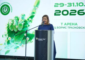 Божиновска: В понеделник ќе се знае дали ќе поскапат горивата, ЕСМ бара поевтин гас